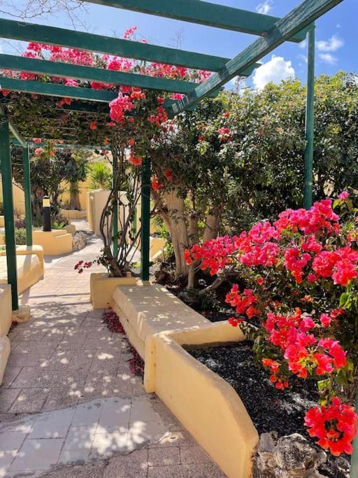 קוסטה קלמה Fuertevilla מראה חיצוני תמונה