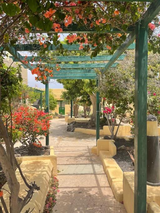 קוסטה קלמה Fuertevilla מראה חיצוני תמונה