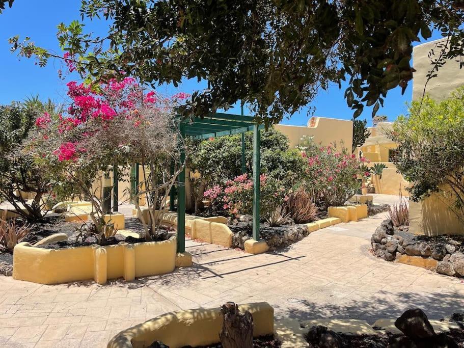 קוסטה קלמה Fuertevilla מראה חיצוני תמונה